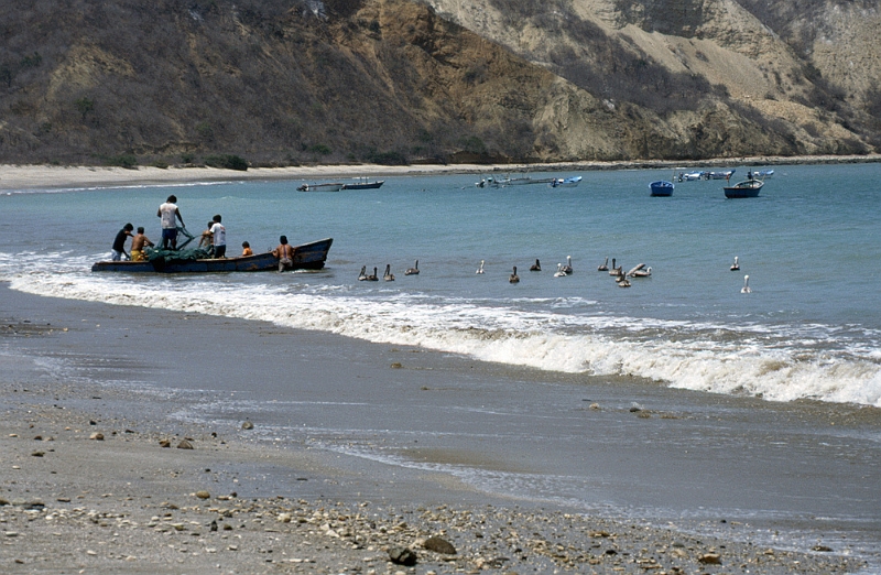 830_Vissers en Pelikanen bij Puerto Lopez.jpg